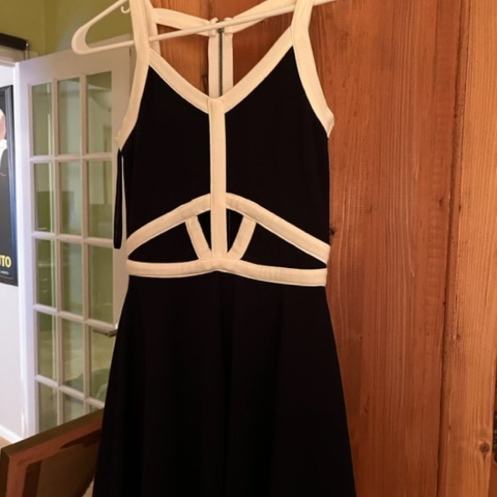Material Girl Black & White Dress